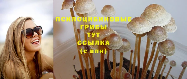 стафф Алзамай