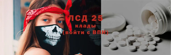стафф Алзамай
