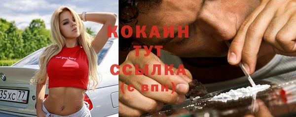 стафф Алзамай