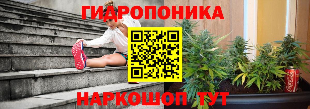 Бошки марихуана Bruce Banner Алушта